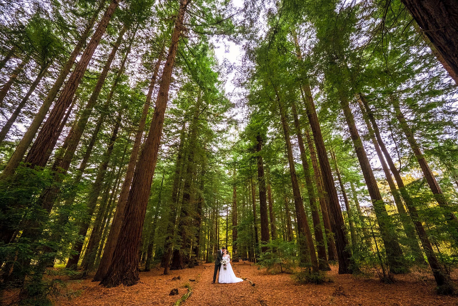 Wedding Photography Highlights 2025
