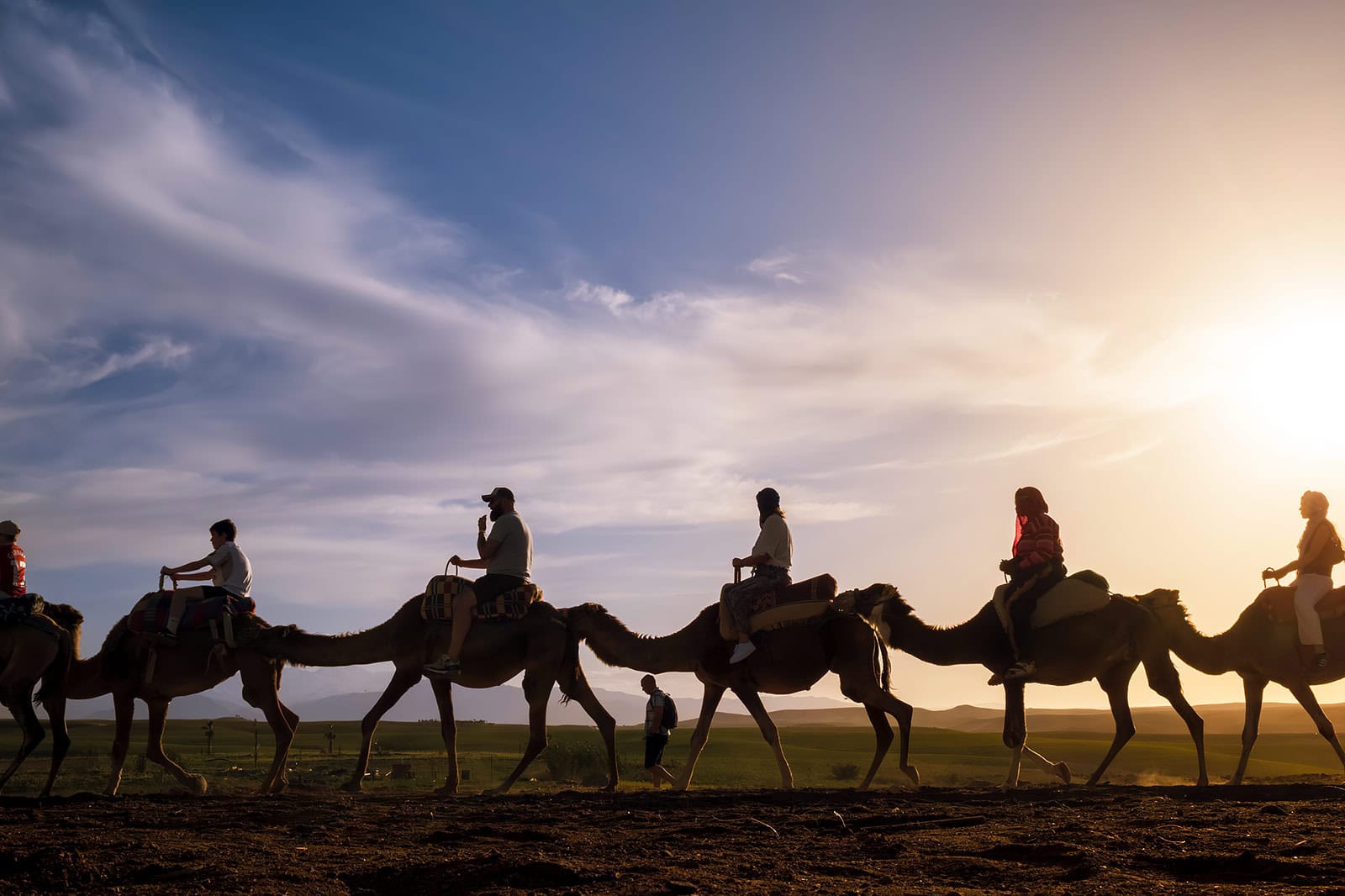 Marrakech Street Photography Camels in the desert